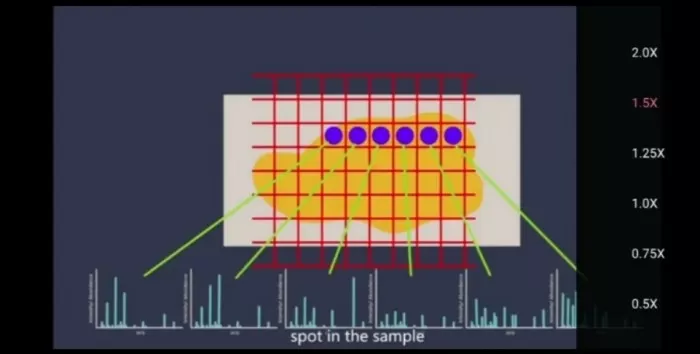 Spatial metabolome enables metabolite tissue distribution detection by raster scanning